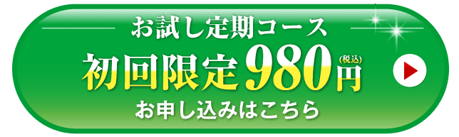 お試し基本コース 初回割引価格1,980円（税込） お申込みはこちら