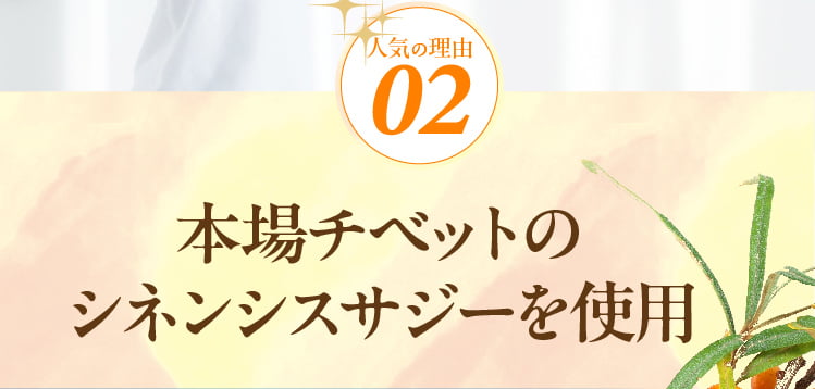 人気の理由02 本場チベットのシネンシスサジーを使用